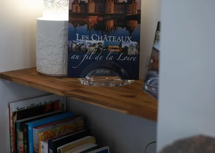 Le Jardin De Guilbaud - Hypercentre - Netflix Appartement *